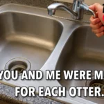 sink puns