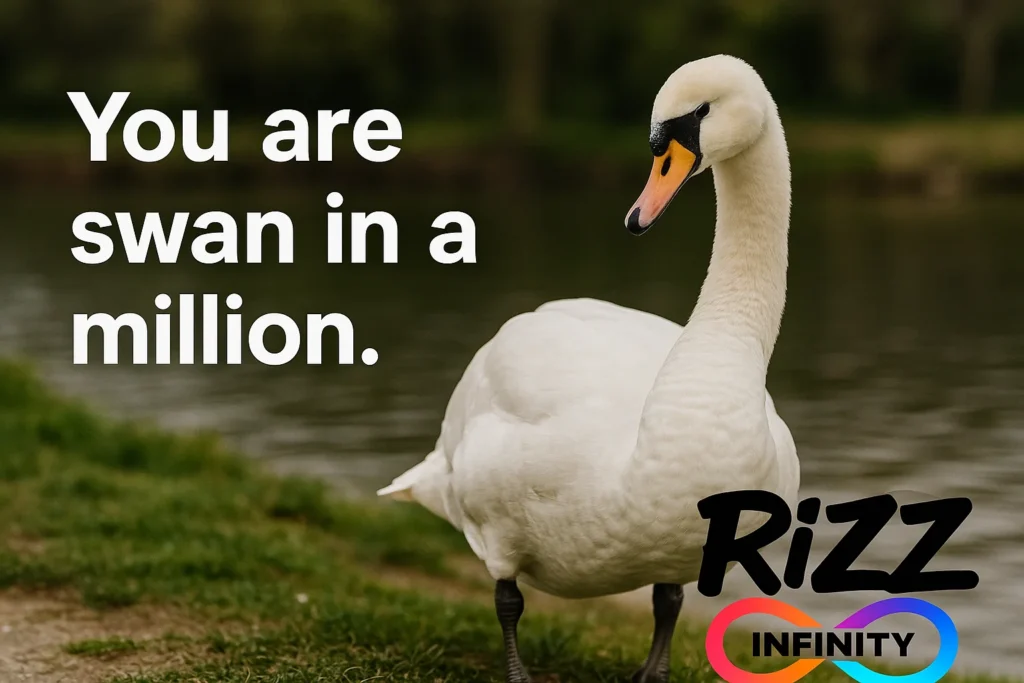 swan puns